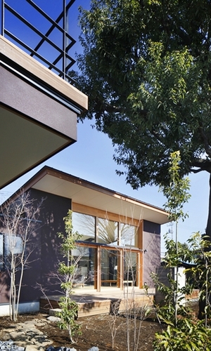 木々と共に住まう