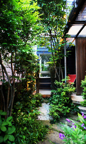 緑豊かなアプローチ