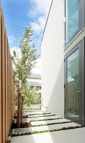 植栽と採光が心地よいアプローチ