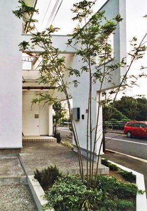 光あふれ、広々とした空間の家