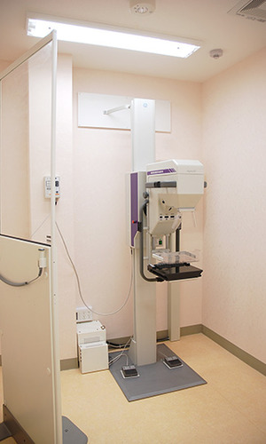 優しい色合いでまとめた室内