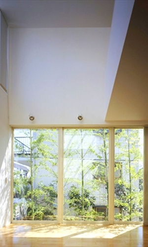 リビングよりモウソウチクを見る