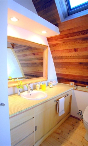 湾曲面空間の洗面