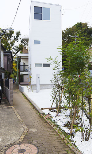 シンボルツリーが迎える玄関アプローチ