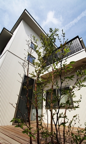 ヒメシャラのあるデッキテラス