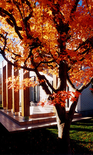 パーゴラのある庭