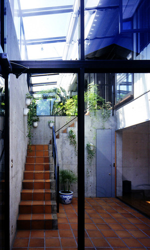 温室から続く光の降り注ぐ地階の部屋