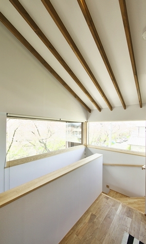 階段より北西の桜並木を眺める。