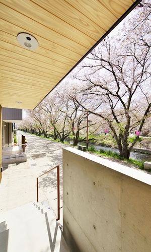ポーチより：五条川と桜並木が建物に溶け込む。