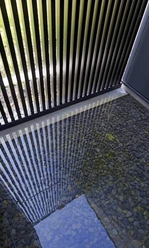 坪庭を眺める。