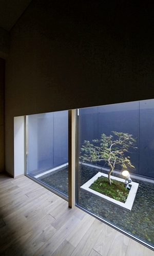 玄関奥の地窓より水盤を見る。