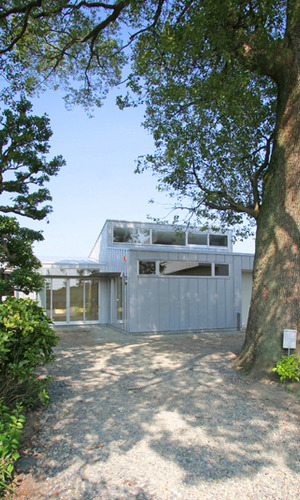 クスノキの下に佇む住まい