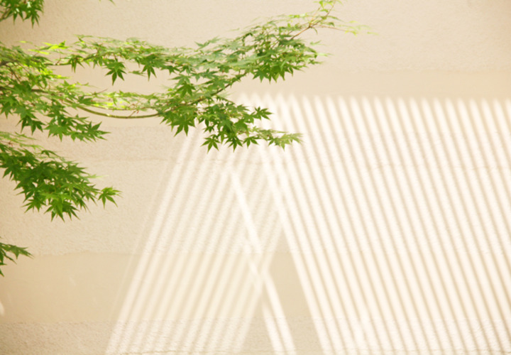 壁に描かれる採光のライン