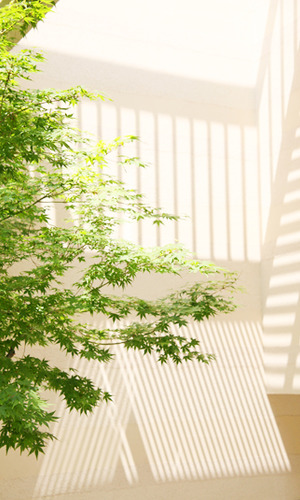 壁に描く採光の絵画