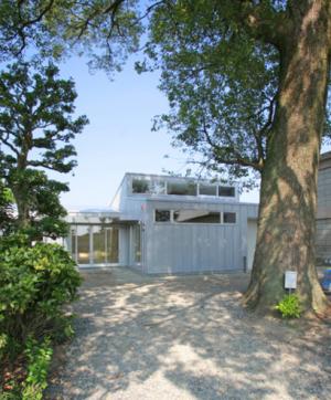 クスノキのある場所