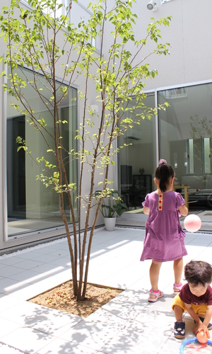 様々な用途のある9帖の中庭