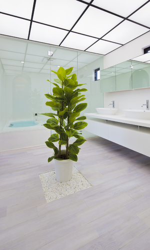 パウダールーム