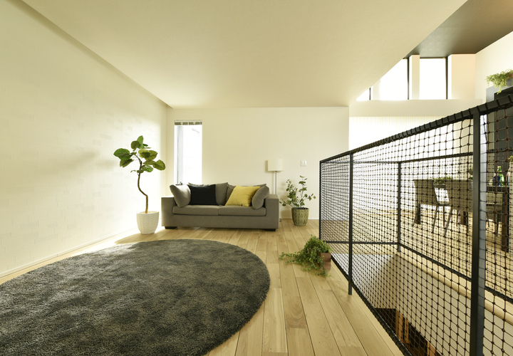 北側からリビングを見る