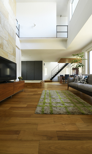 SE構法ならではの大空間・大開口