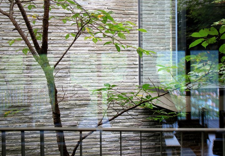 雷山の別荘｜ギャラリーから見た中庭の風景