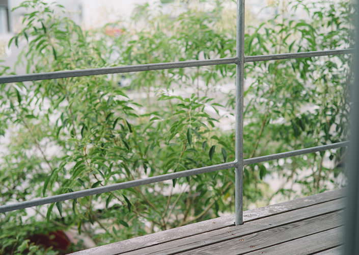 緑を感じる暮らし