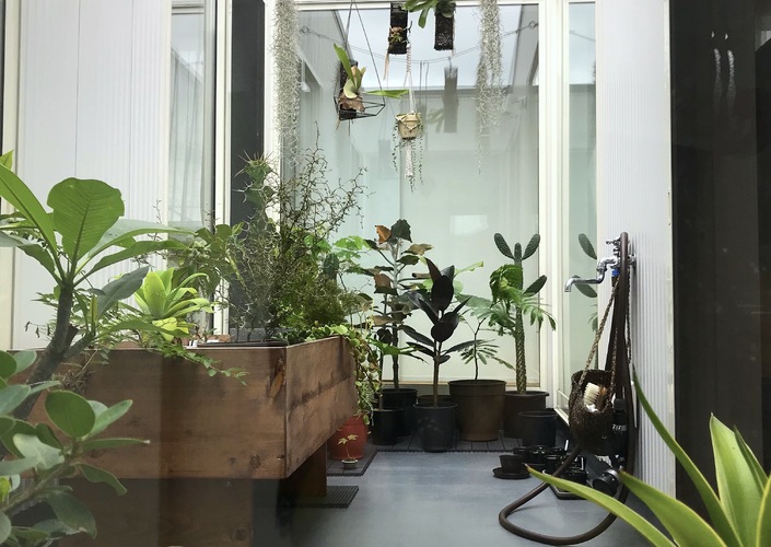 湘南・藤沢市長後の中庭のある2世帯住宅 グリーン、緑と暮らす