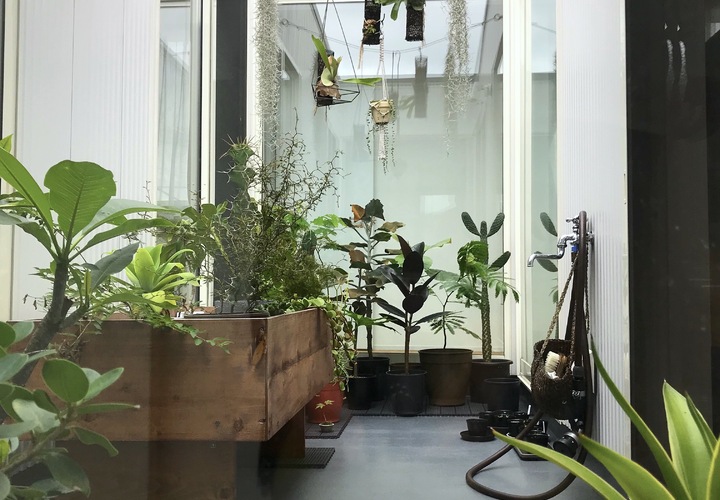 湘南・藤沢市長後の中庭のある2世帯住宅 グリーン、緑と暮らす　2階中庭