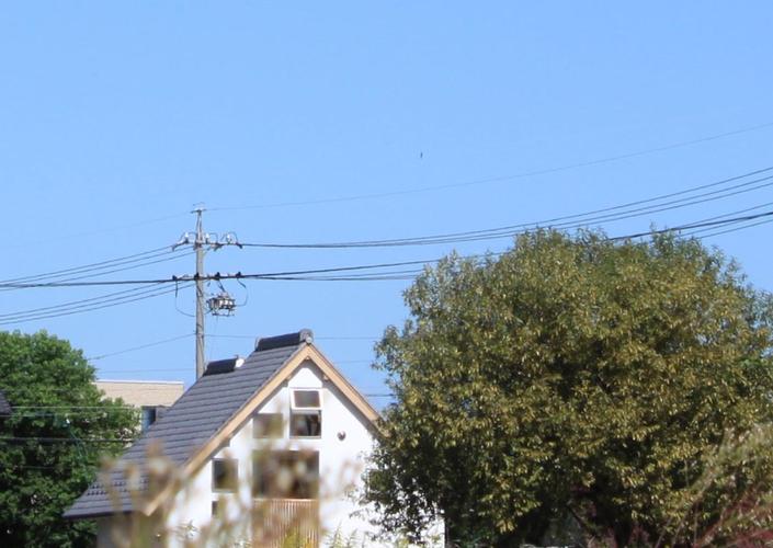 牛山の小さな家