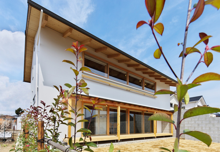 庭より外観を眺める。