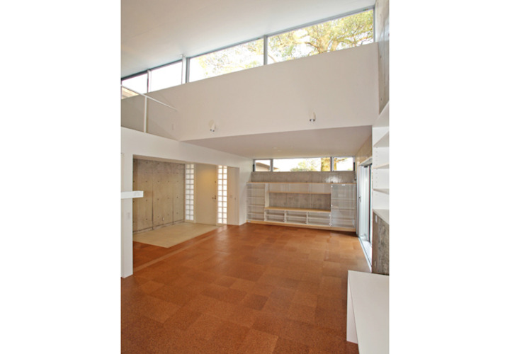 高窓で切り取られたクスノキが見える