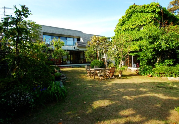 蔓植物で覆われた建物