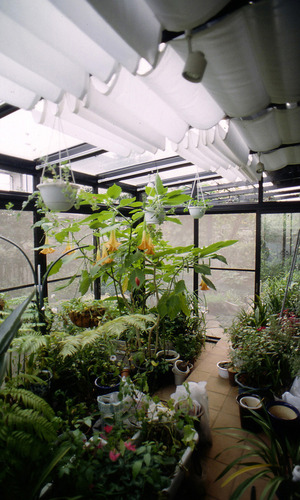 1階広間の南側に設けられた温室