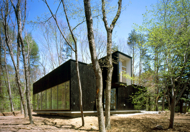 森林の中に鎮座する住宅