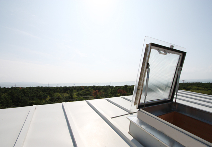 屋根に上がった開放感