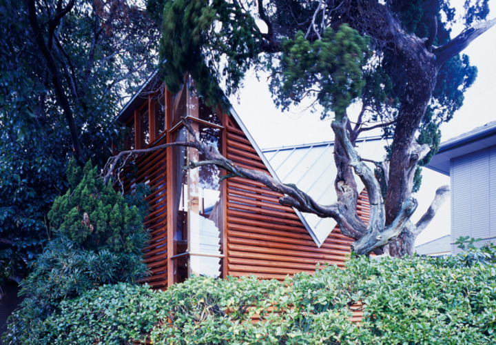 既存樹木と計画建物の共存