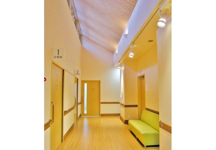 唐松の天井にやわらかくそそぐ日差し