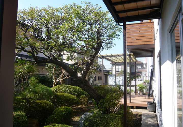 和風庭園風の庭