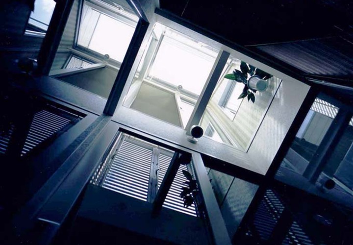 観葉植物の「光の庭」を見上げる