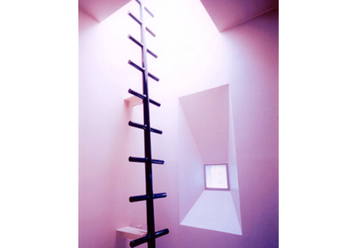 トップライトと上部に移動できる梯子