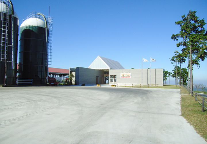 見る方向を変えると無機的なイメージももつ