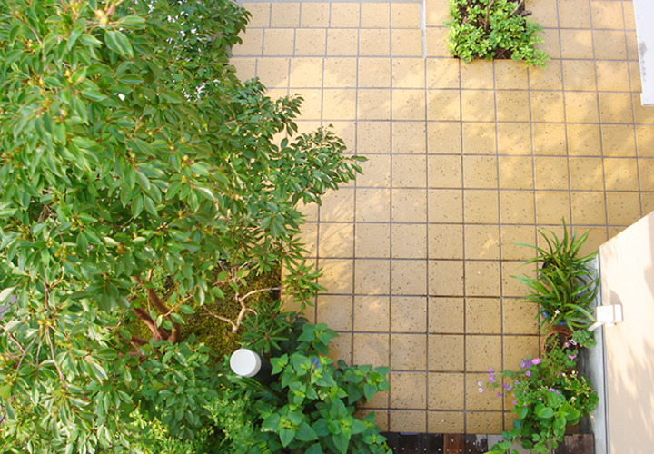 小さいながらも緑がいっぱいの玄関アプローチ