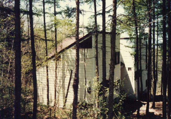 敷地上部より、三角のハイサイドライト