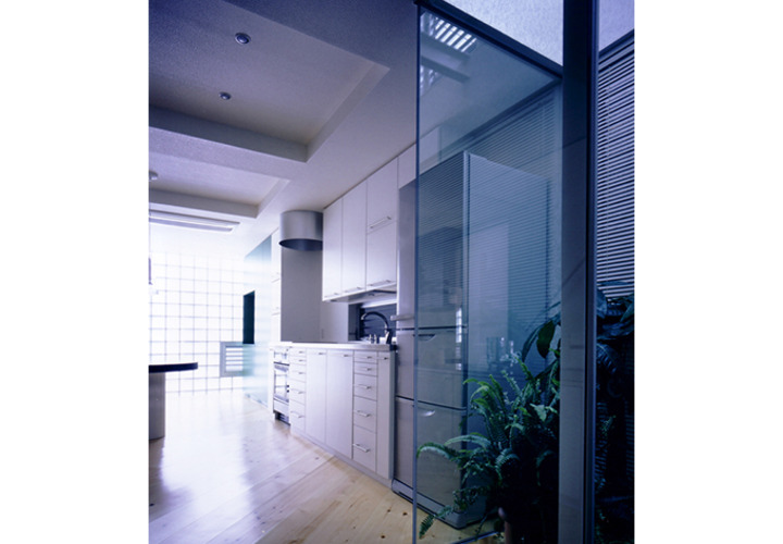 天上からの光を観葉植物が受けて