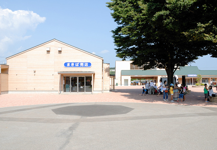 大きい木の下で休める広々とした中庭