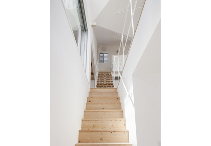 すり鉢状の天井がリズム感を生むエントランスからの階段