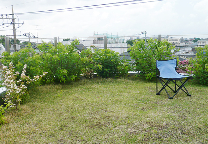 しっかり根付いて。お昼休みは休憩？