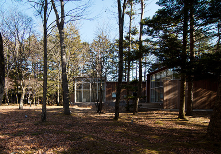 森林の中に暮らす家