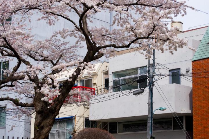 南麻布の二世帯住宅