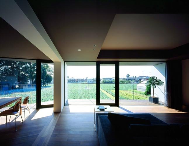 キャベツ畑と家