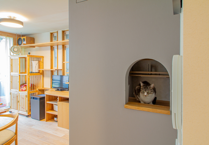 猫のための場所